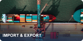 Import & Export